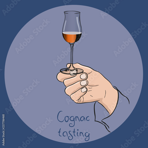 Female or male hand holding a cognac glass. cognac/brandy tasting. Vector drawing.