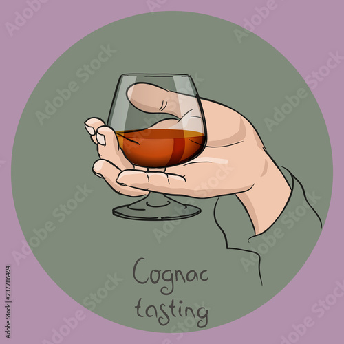 Female or male hand holding a cognac glass. cognac/brandy tasting. Vector drawing.