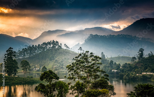 panorama of the tea plantations at sunset - Sri Pada peak in the background © Melinda Nagy