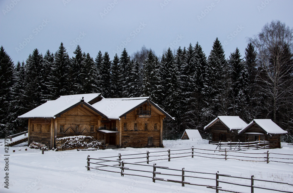Beautiful country winter landscape with rural wooden houses on a background of the forest and sky. Wooden houses under snow in the winter forest. Outdoor recreation and countryside concept. 