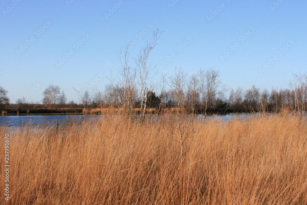 Fototapeta premium Moorlandschaft, Geestmoor