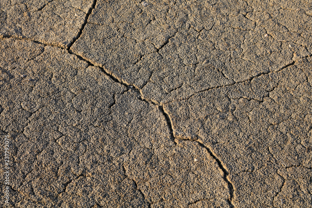 Obraz premium Parched soil