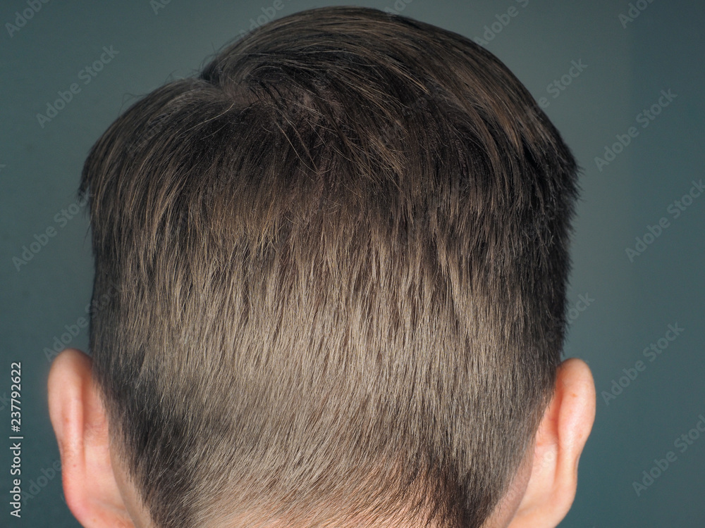 Rear view of slick pulled back hair style on male person towards gray Stock  Photo | Adobe Stock