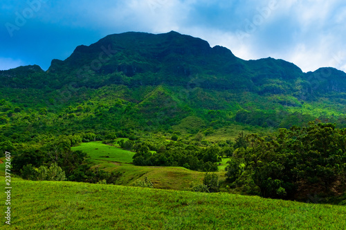 Scenic view looking up at a lush mountainous hillside on the tropical island of Kauai, Hawaii, USA