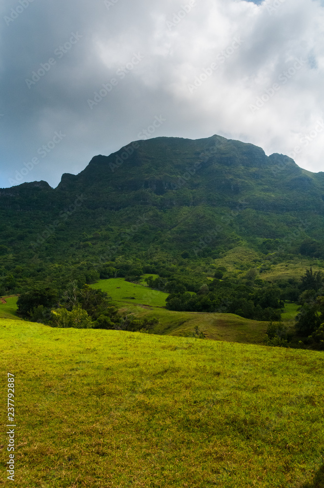 Scenic view looking up at a lush mountainous hillside on the tropical island of Kauai, Hawaii, USA