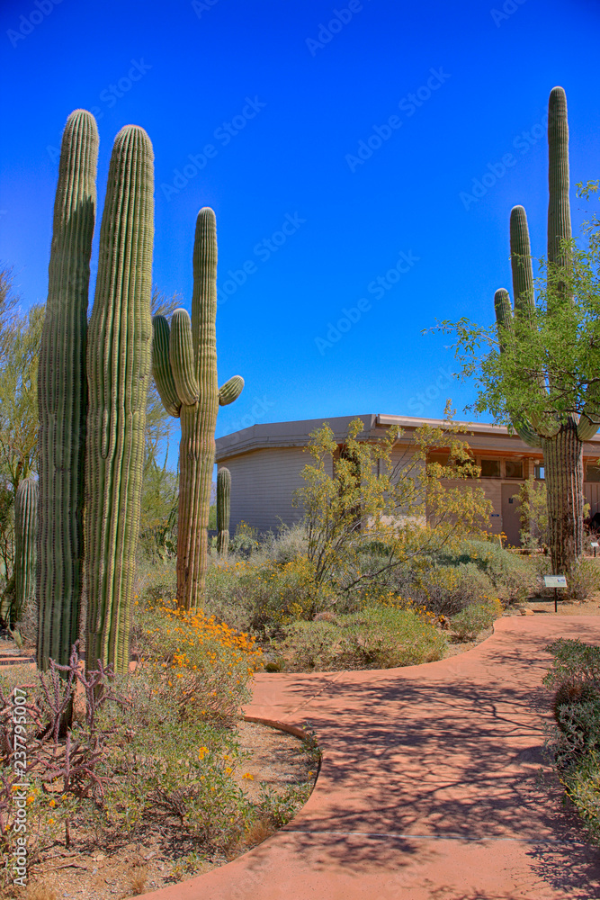 The Saguaro East Rincon Mountain National Park welcome center in Tucson, Arizona