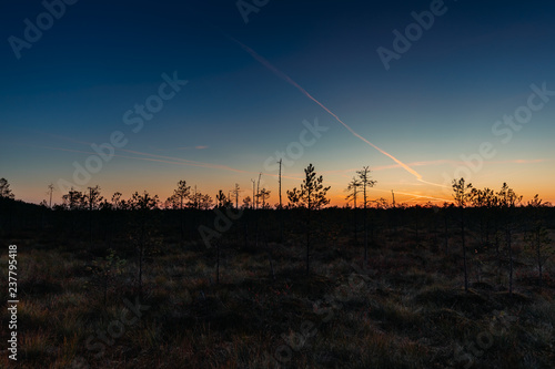 Berezinsky, Biosphere Reserve, Belarus. Autumn Landscape With Ma