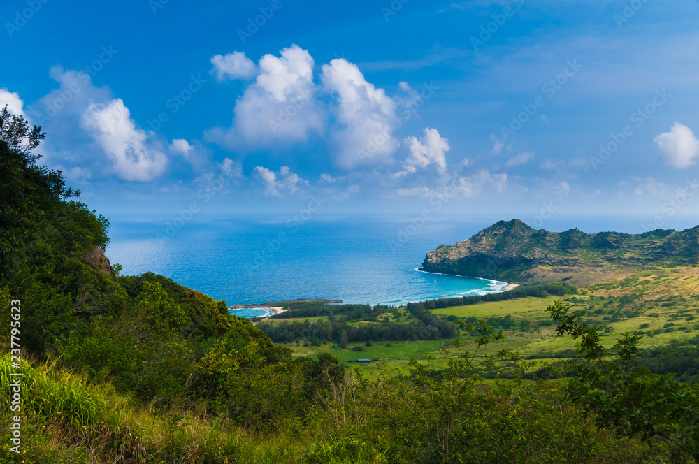 Obraz premium Aerial view overlooking the tropical island of Kauai and the Pacific Ocean, Hawaii.