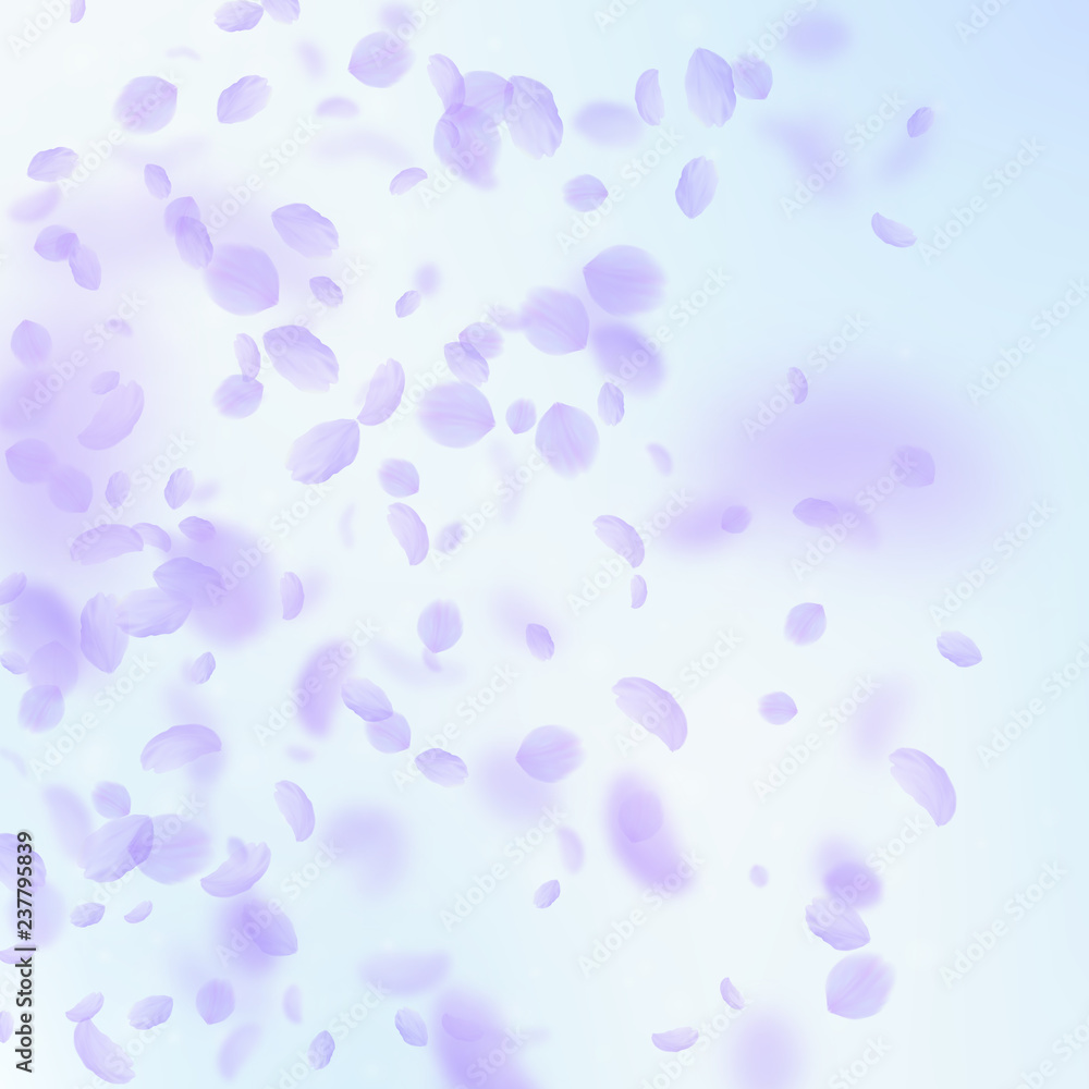 Violet flower petals falling down. Good-looking ro Violet flower petals falling down. Good-looking ro