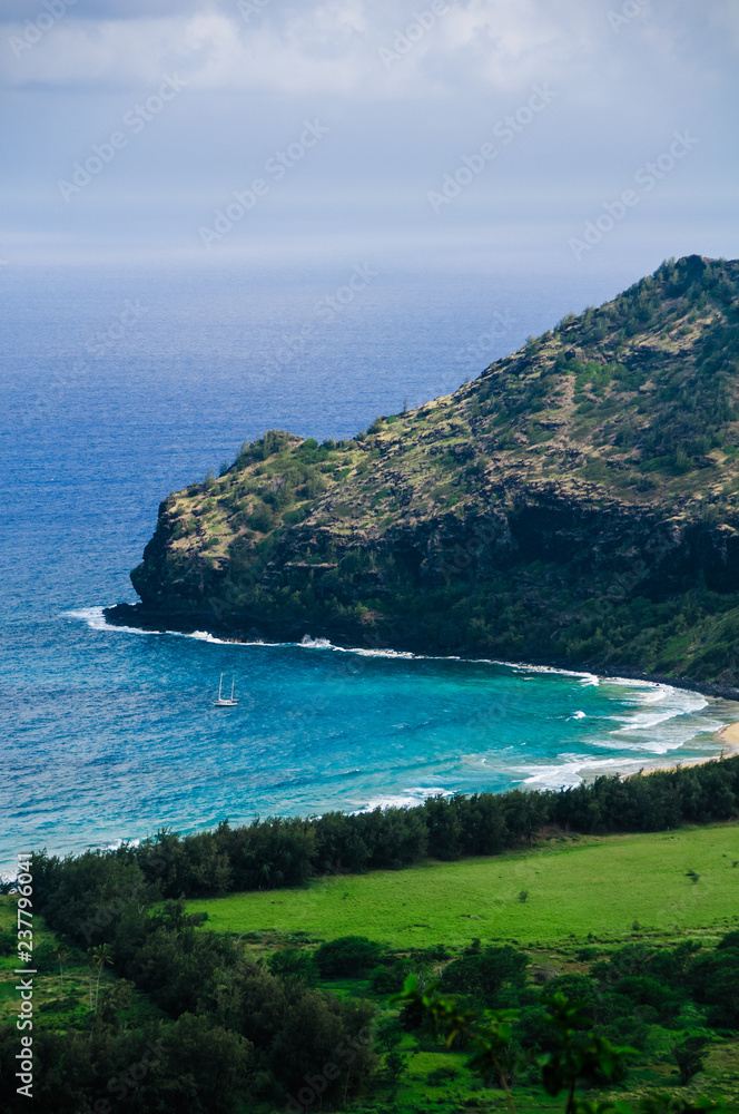 Aerial view overlooking the tropical island of Kauai and the Pacific Ocean, Hawaii.