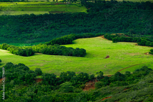 Aerial view overlooking a tropical valley on the island of Kauai  Hawaii  USA