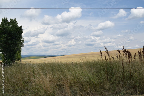 Fototapeta Naklejka Na Ścianę i Meble -  Karjobraz po żniwach