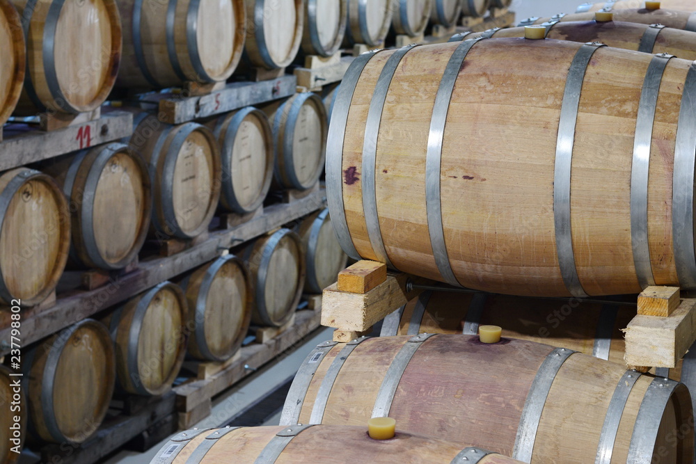 Wine barrels in wine-vaults in order.