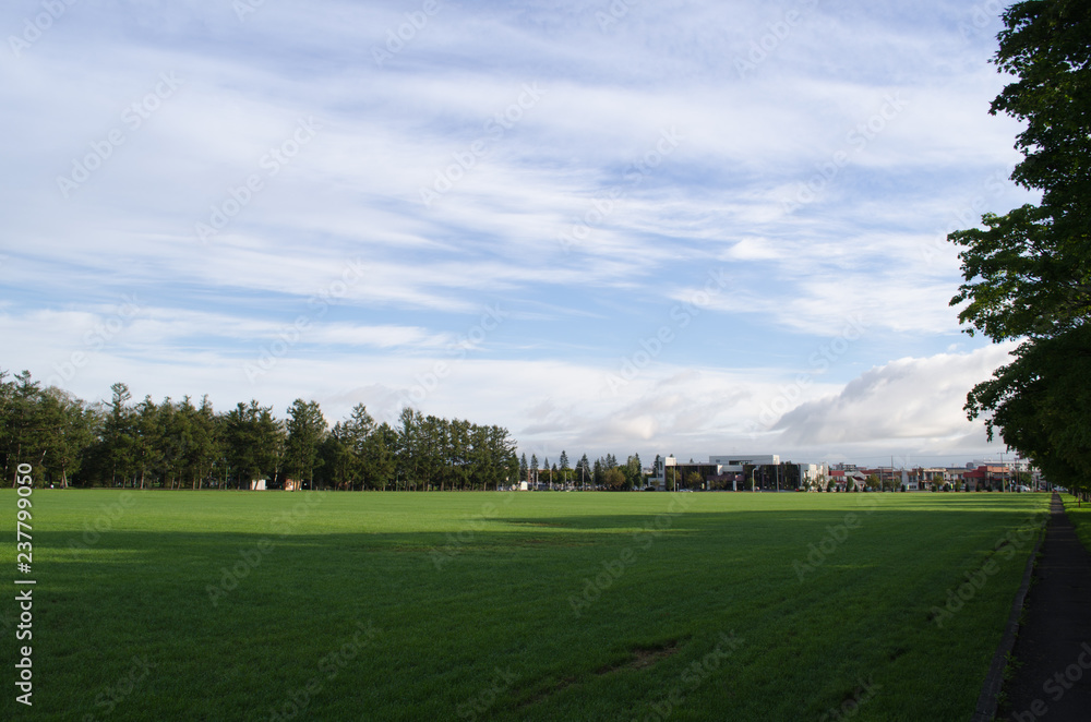 公園の風景 公園の風景