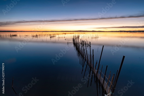 fishing nets