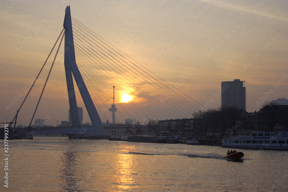 Fototapeta premium Rotterdam cityscape.Netherland