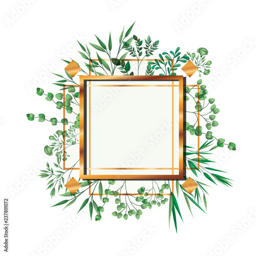 golden frame square with foliage isolated icon