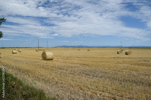 Karjobraz po żniwach