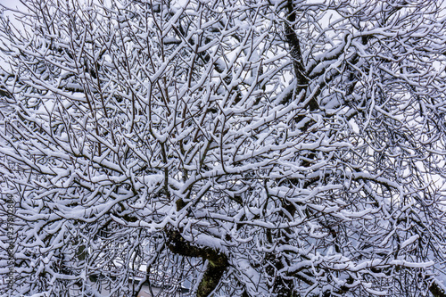 Winter Showing up