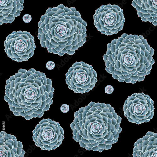 Succulent floral seamless pattern, backdrop scrapbooking graphics on black blackgound photo