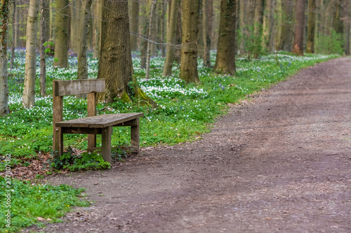 Resting spot in the park