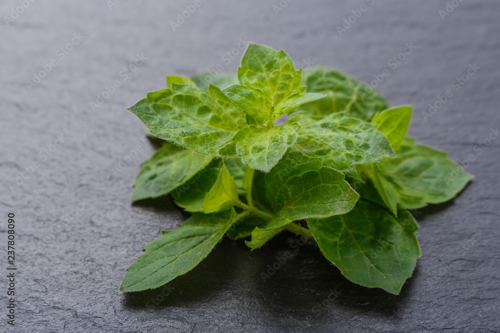 essential oil of peppermint on a dark stone background essential oil of peppermint on a dark stone background