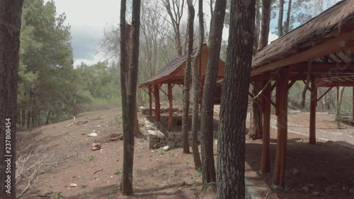 Slow cinematic footage drone flying passing thrunk pine trees in rest area photo