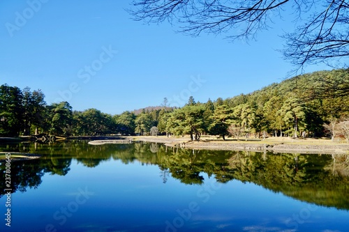 毛越寺