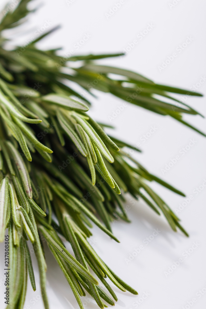 Fototapeta premium Rosemary essential oil on a white background