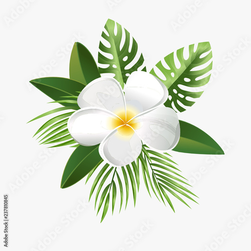 Tropical flower and palm leaves on white background