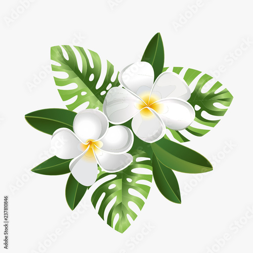 Frangipani flowers and palm leaves on white background