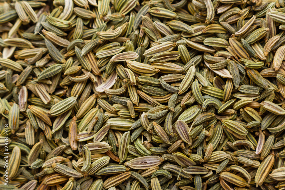 essential oil of fennel seeds on a white background essential oil of fennel seeds on a white background