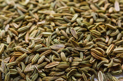 essential oil of fennel seeds on a white background