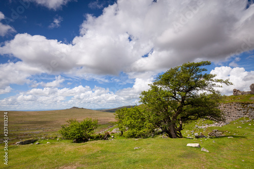 Ancient ruins, Dartmoor national park, Devon, UK photo