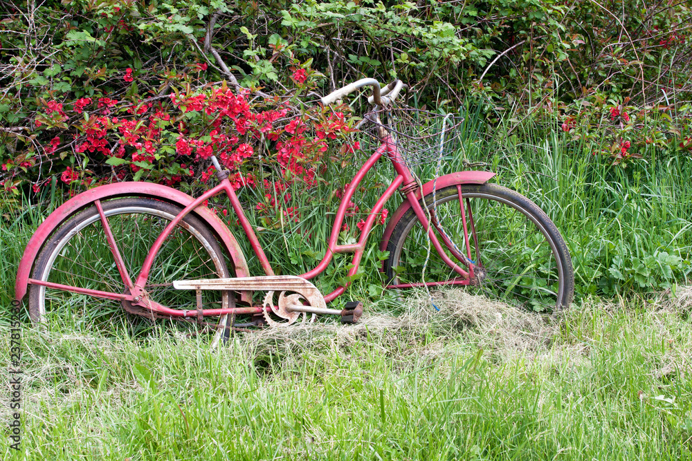 Fototapeta premium An old-fashioned bicycle surrounded by flowers