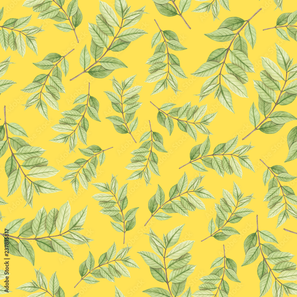 Fototapeta seamless watercolor background leaf tropical used for background texture, wrapping paper, textile or wallpaper design.