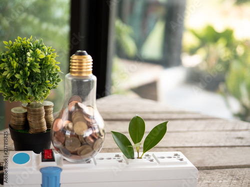 light bulb with coin and tree on wood table. Concept of Cost reduction and Reduce energy. The use of natural energy. photo