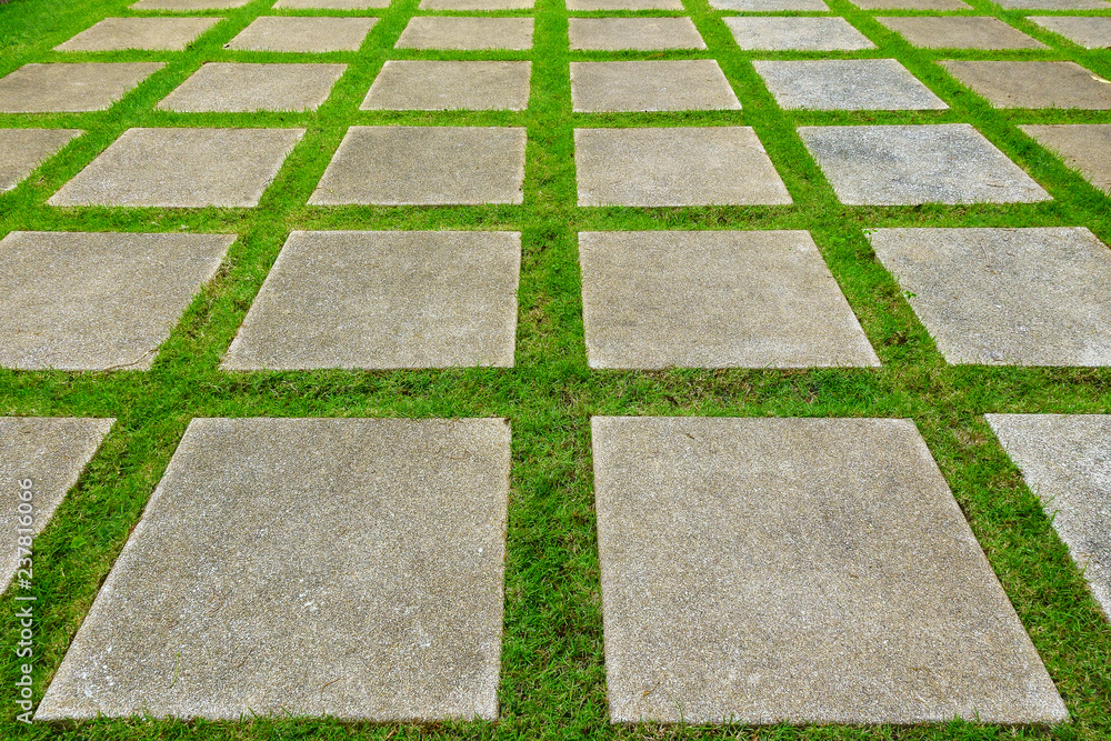 Obraz premium pathway on green grass in garden