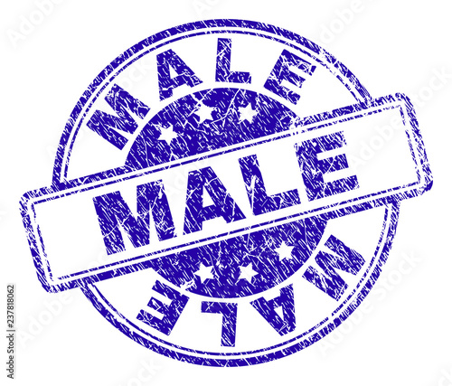 MALE stamp seal imprint with distress texture. Designed with rounded rectangles and circles. Blue vector rubber print of MALE title with scratched texture.