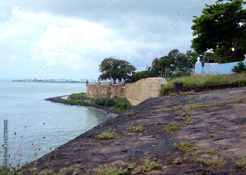 Stone Wall and Tree along Coast San Juan Puerto Rico