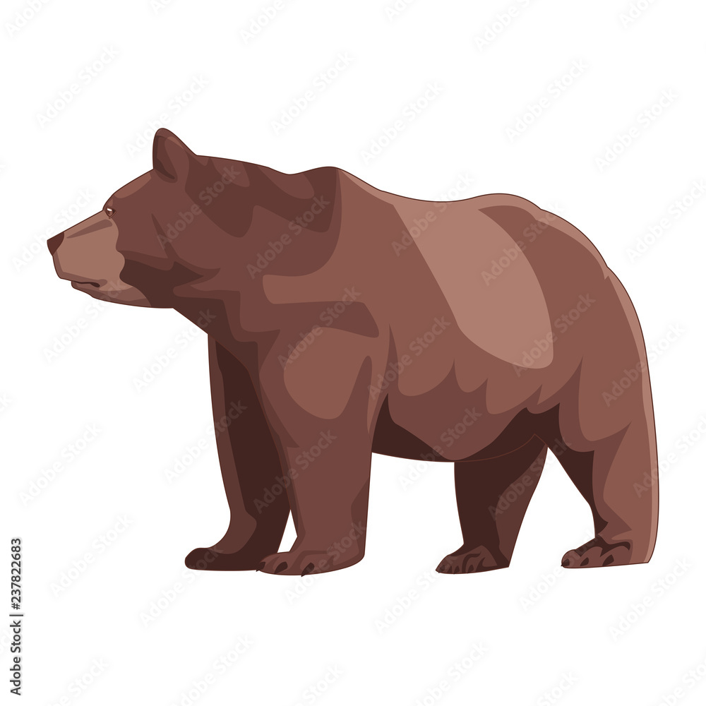 Fototapeta premium wild brown bear body cartoon