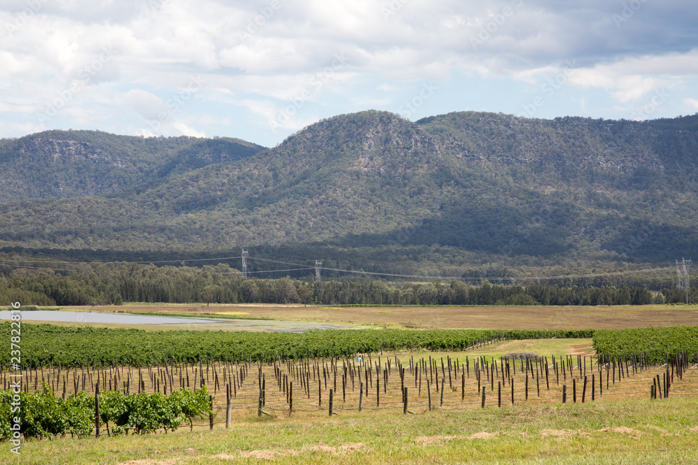 Hunter Valley Wine region in New South Wales.