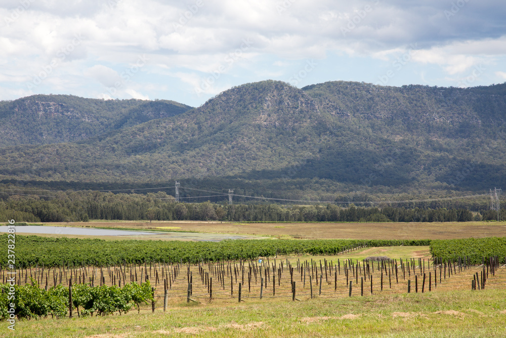 Hunter Valley Wine region in New South Wales. Hunter Valley Wine region in New South Wales.
