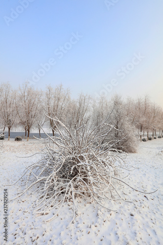 Winter scenery of northern China