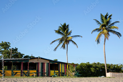 Caribbean beach with palm trees
