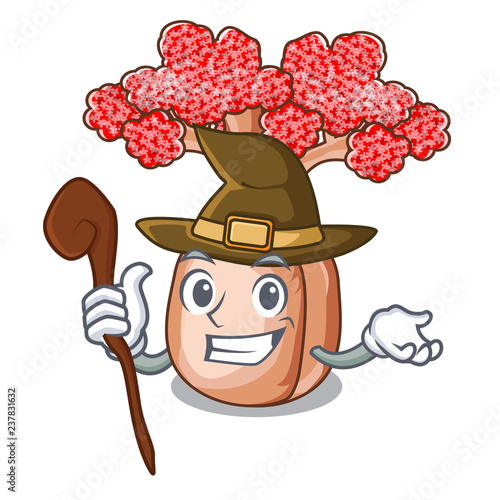 Witch plateau on of mascot bottle trees