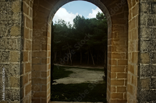 Scary Forest through the Archway