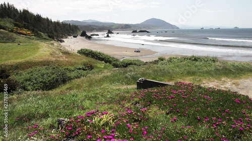 Lush coastline in Port Orford, wide photo