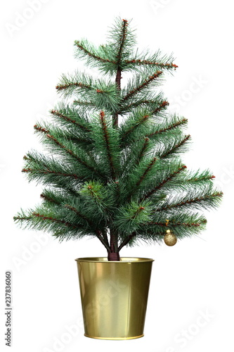 Small christmas tree with golden pot isolated on white background