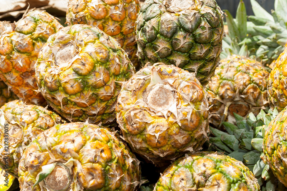 Pineapple at the fruit and vegetable market, Higuey, Repubblica Dominicana, La Altagracia